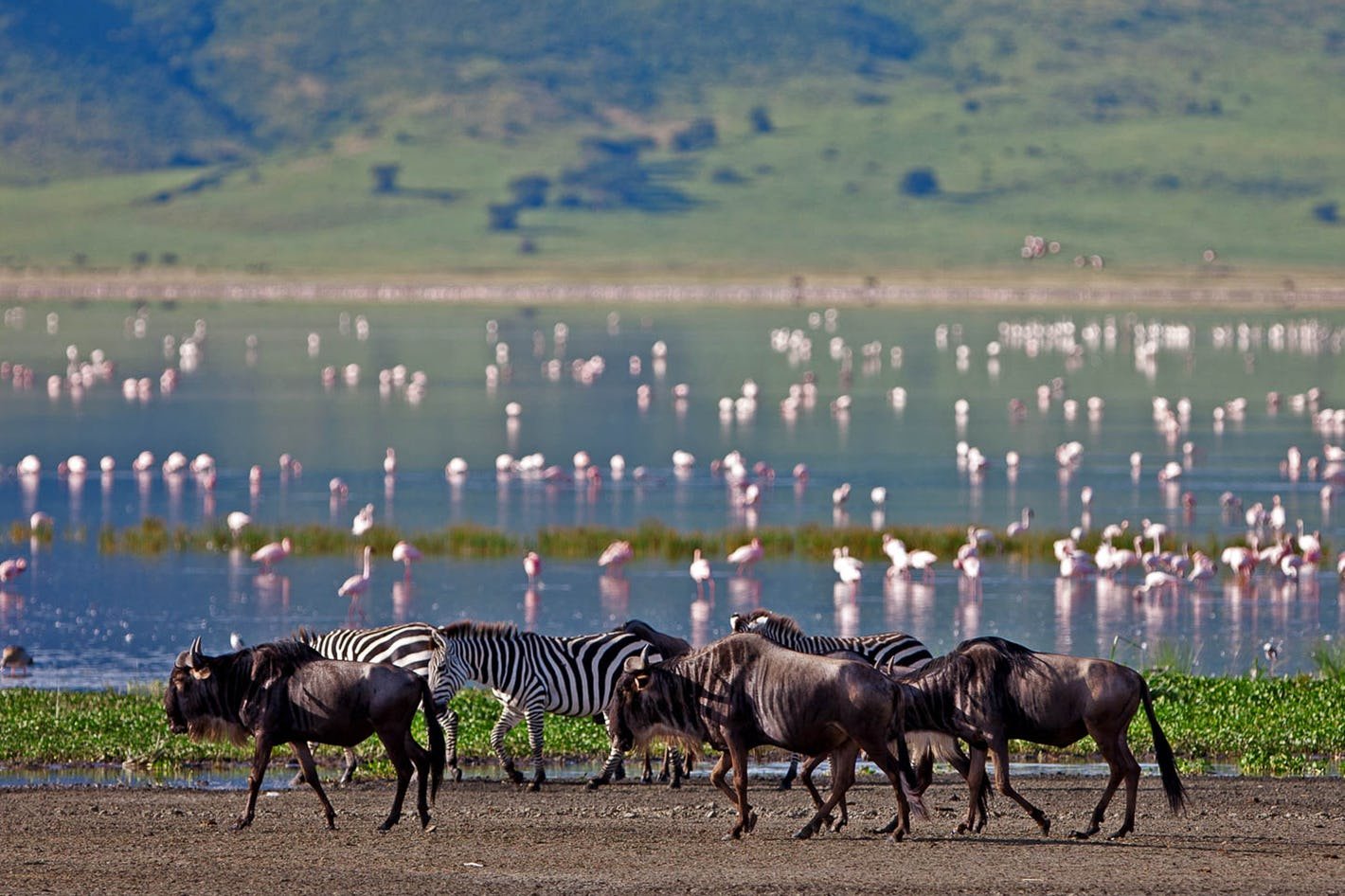 Ngorongoro Crater