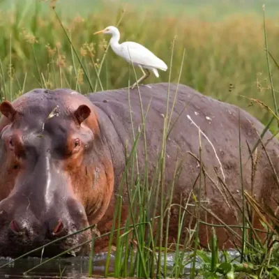 692690842_226220842_1024x576