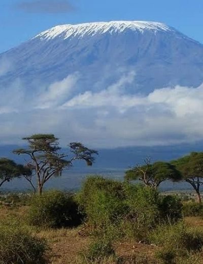 875b9243081d8ee5e28d4bb3ff46f972