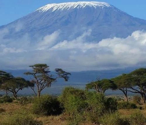 875b9243081d8ee5e28d4bb3ff46f972