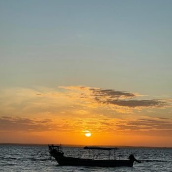 WhatsApp Image 2025-10-08 at 10.17.17 PM (1)