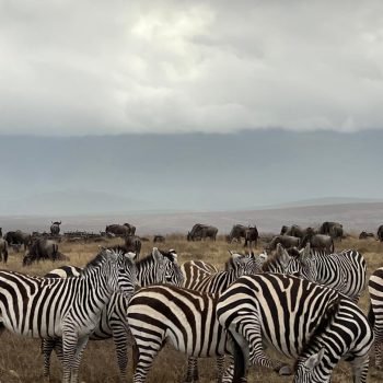 WhatsApp Image 2025-10-08 at 10.17.17 PM (4)