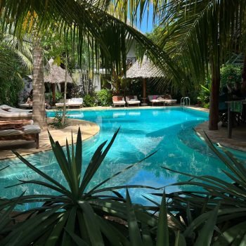 WhatsApp Image 2025-10-08 at 10.17.17 PM