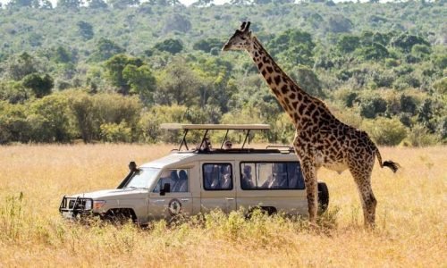 c467cf71d819313086d90649fdb1837a