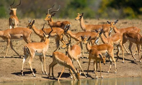 e9f4faed70a7792b6b38df2fb4776925