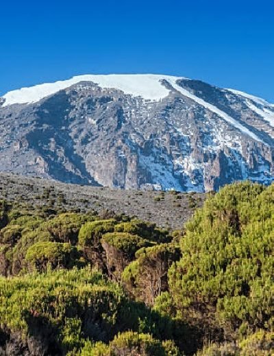 The snowcapped summit region of Mount Kilimanjaro, with 5.895 m Africas highest mountain as well as worlds highest free-standing mountain. Seen from the Millenium Camp at Mweka-route, shot at an altitude of approx. 3900 m.