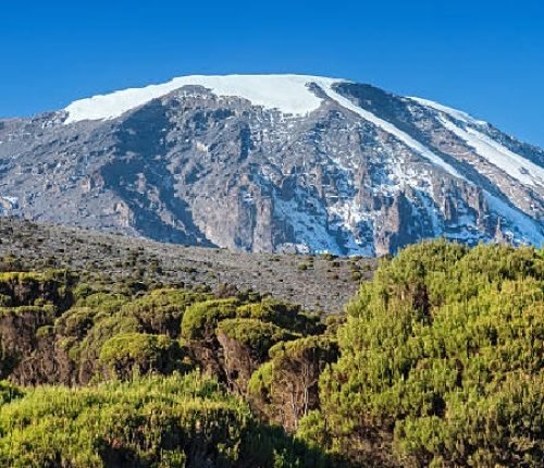 The snowcapped summit region of Mount Kilimanjaro, with 5.895 m Africas highest mountain as well as worlds highest free-standing mountain. Seen from the Millenium Camp at Mweka-route, shot at an altitude of approx. 3900 m.